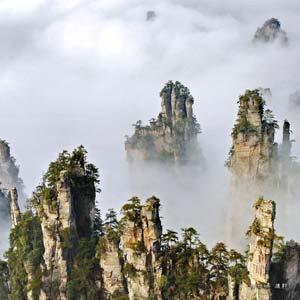 LB線：天門(mén)山、天門(mén)洞、張家界、天子山、楊家界純玩四日游